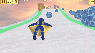 Wingsuit Flight